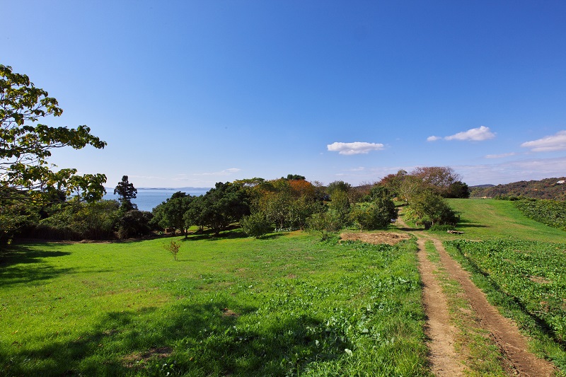 大自然の中で春夏秋にキャンプを行っています